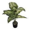 Green leaf plant potted ceramic flowerpot set for indoor Nordic-style living room and balcony decoration Item Picture